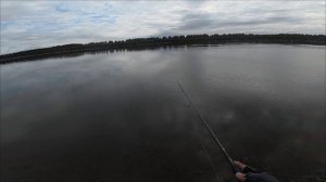 Осенний жерех на пилькер.  Закрыл сезон по жереху! 🍁🍂🎣