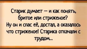 Как Мужик с Огромным Хозяйством к Нюре пришел! Сборник свежих анекдотов! Юмор