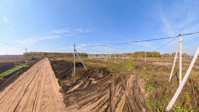 9808612 смотреть онлайн