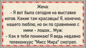 Как Ваня после службы бабу искал! Сборник свежих анекдотов! Юмор