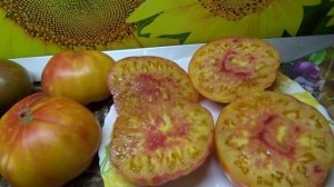 Томаты - новинки 2025 года. Томат Абрикосовый конфитюр. Сорт Софии Сааковой.