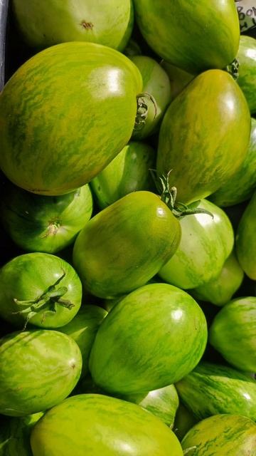 ЭТОТ ТОМАТ СМЕТАЮТ ПАЧКАМИ, РАСКУПИЛИ за 2 ЧАСА смотреть онлайн