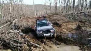 на 33х крокодилах