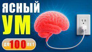 Укрепляем сосуды МОЗГА! | Ясный ум и железная память В ЛЮБОМ ВОЗРАСТЕ!