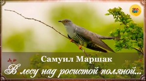🐦 С. Маршак. В лесу над росистой поляной...| Стихи о природе | Стихи наизусть