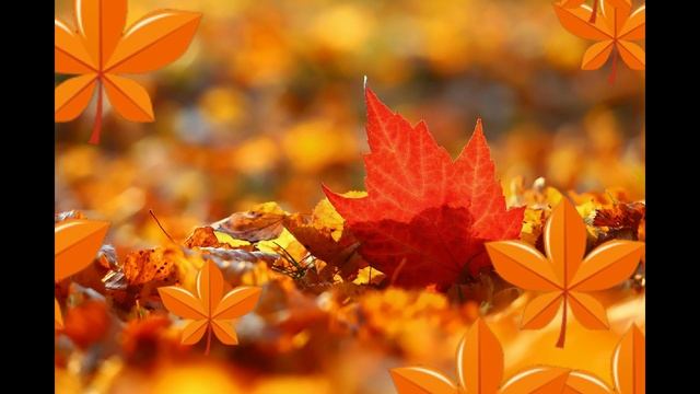 ФУТАЖ - ЗОЛОТАЯ ОСЕНЬ смотреть онлайн