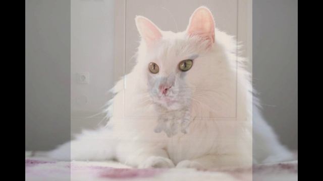 НАЧАЛО  УЧЕБЫ  ЧАСТЬ ВТОРАЯ