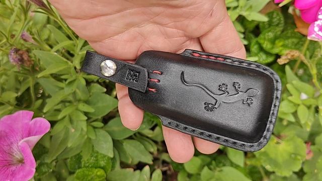 Чехол для ключа Audi