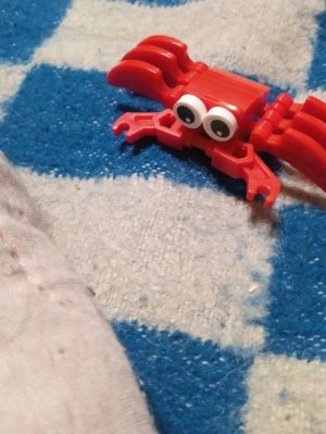 99 ночей в лесу