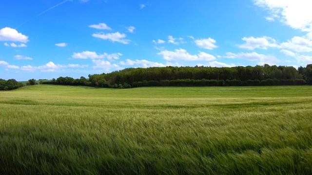 Очень красивое чтение Корана عبدالله الموسي смотреть онлайн
