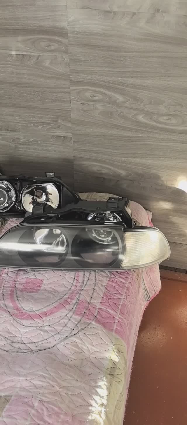 Над Барсиком во ржи