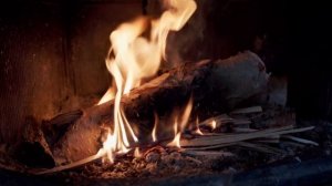 🥰Пока живёшь на белом свете...радуйся