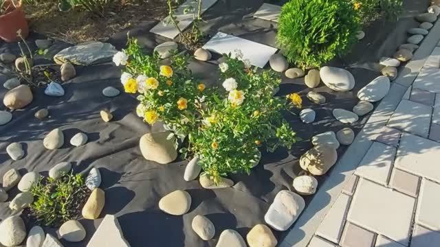 Как мы используем черный укрывной материал. смотреть онлайн