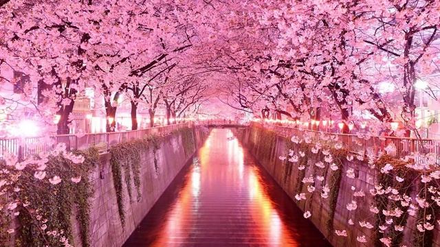 Красивое слайдшоу смотреть онлайн