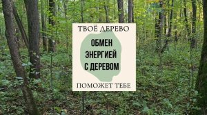 Практика обмена энергии с деревом. (22.09.25)