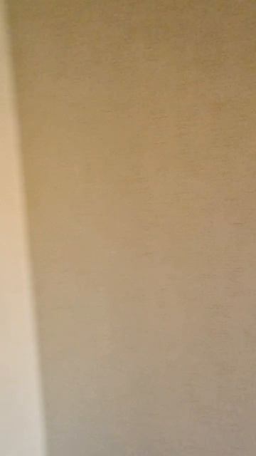 document_5370864665301648672