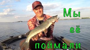 О ЧЕМ ГОВОРЯТ БЛОГЕРЫ. Рыбалка с хорошим человеком.