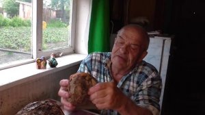 Ольховый нарост- ценный поделочный материал