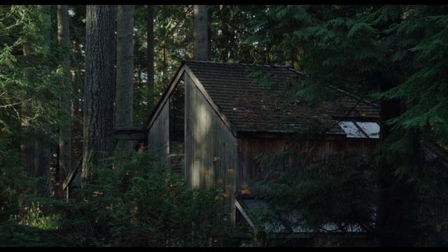 «Крипер»
Трейлер смотреть онлайн