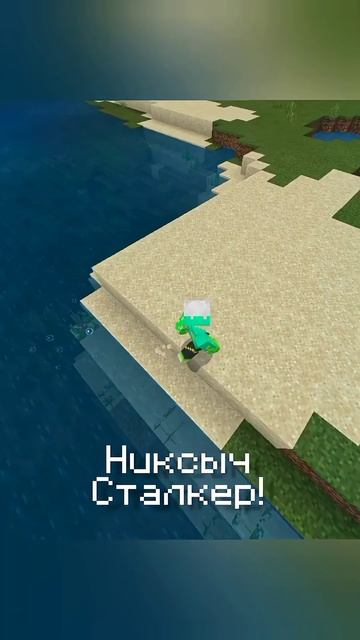 никсыч сталкер | FOZIR #shorts