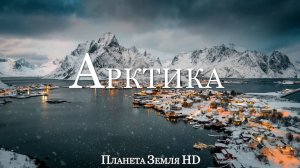 Арктика HD - Живописный Фильм о дикой природе с успокаивающей Музыкой