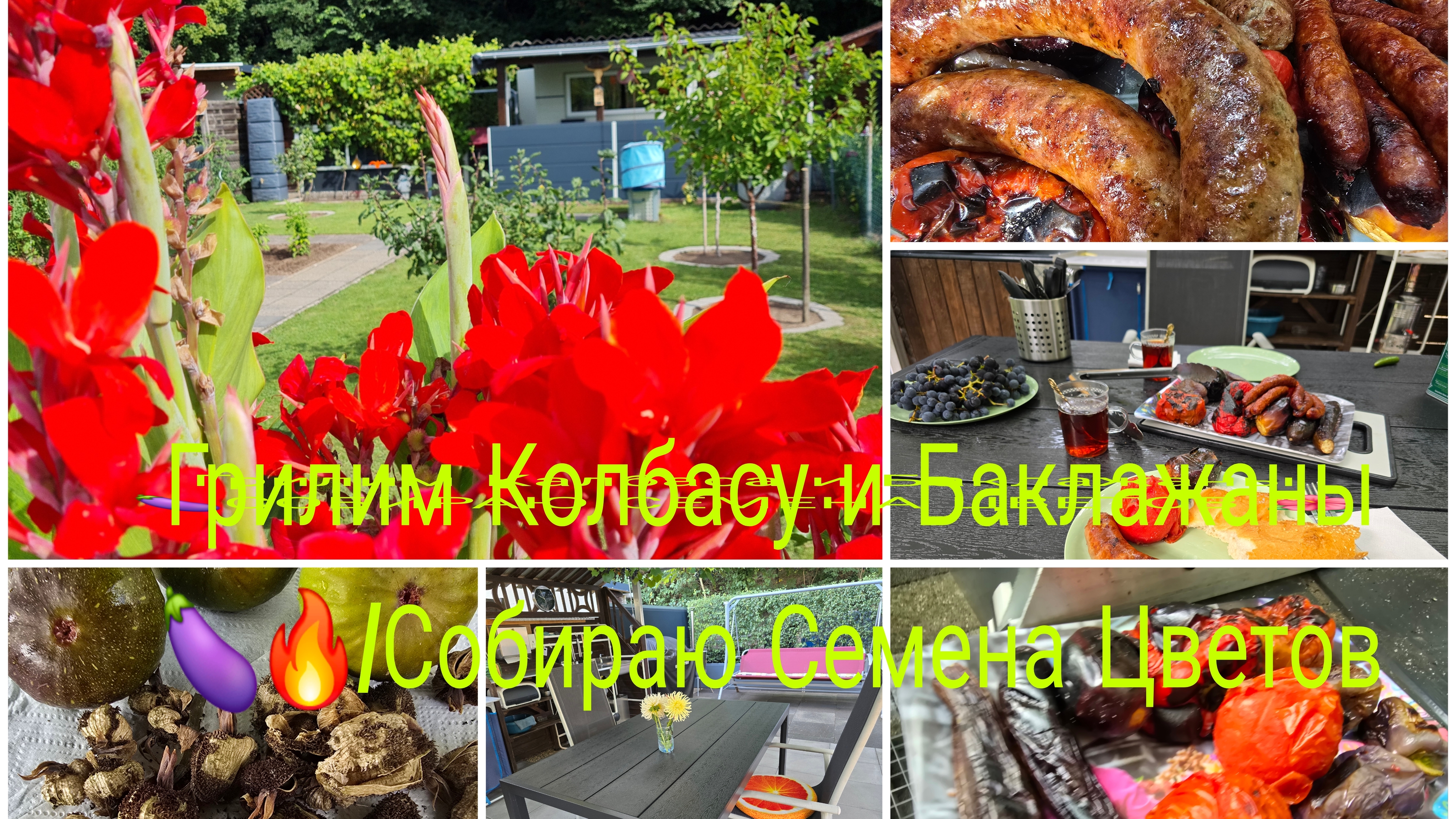 Дача нетолька для Работы/И для Одыха тоже 🔥Грилим Колбасу и Баклажаны 🍆Инжир трёх цветный смотреть онлайн