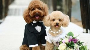 Что с ними не так : Риски отношений с матерью-одиночкой