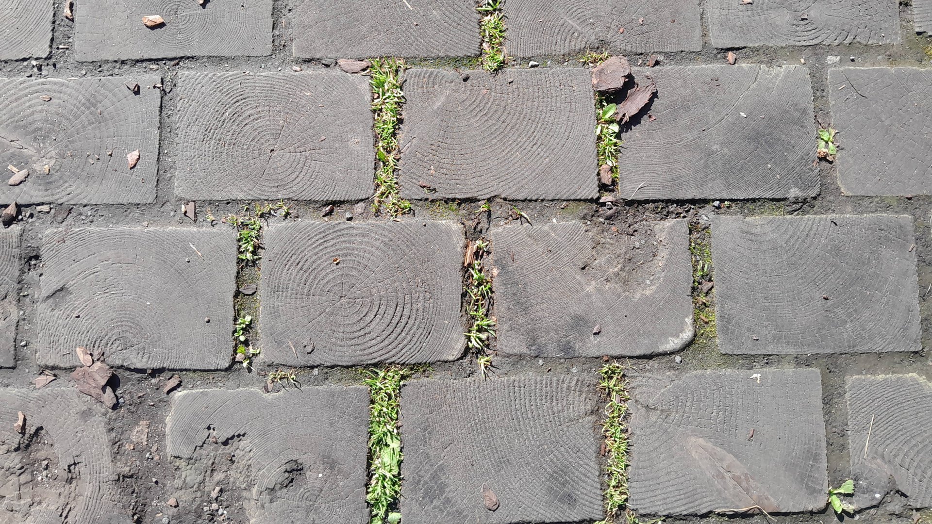 Дорожка из деревянных шашек. Смотрим мощение. Состояние через 8 лет.