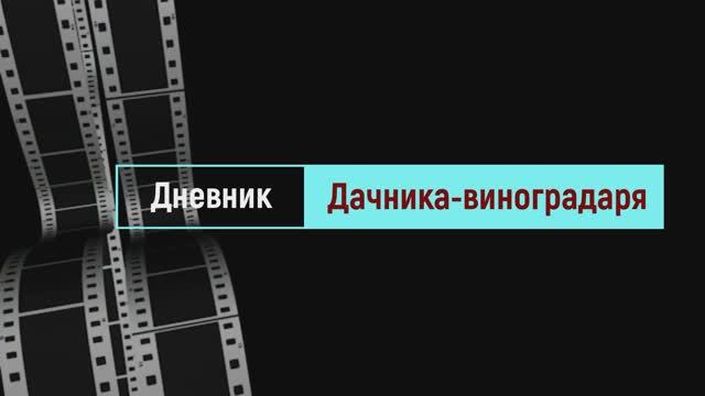 Виноград Русвен