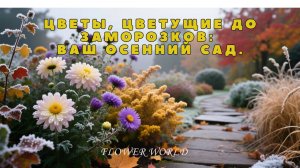 Цветы, цветущие до заморозков: Ваш осенний сад.🧐