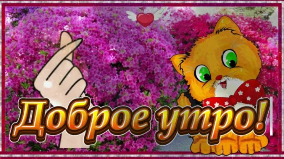 Доброго Осеннего Утра! Хорошего дня!Тёплого во всех отношениях! Красивые пожелания Доброго Утречка!