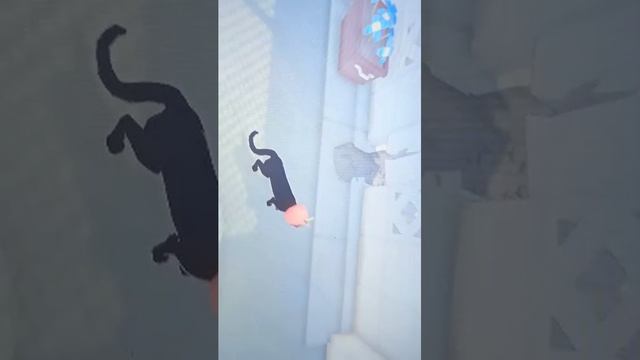 вот бы всë было ок с первого раза 🤩