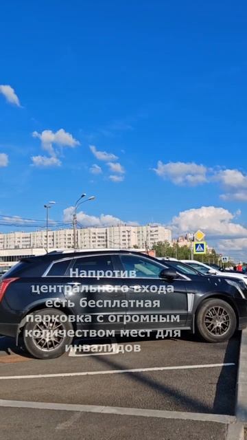 Парк 300-летия: обзор доступности на коляске