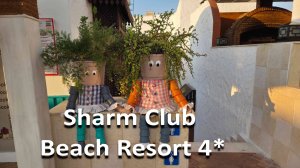 Большой обзор Sharm Club Beach Resort, июль 2025