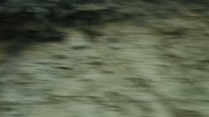 ЕДЕМ ПО АДЫГЕЕ