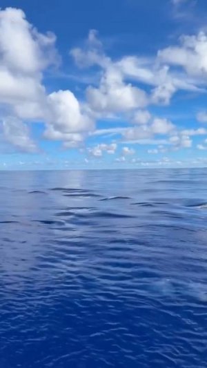 Человек учится больше на неудача, чем на победа. Не позволяй своим ошибкам забивать тебя с толку