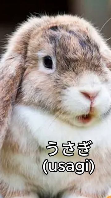 Освойте Хирагану: Учите あいうえお!