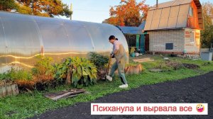 😡ПСИХАНУЛА И ВЫРВАЛА ВСЕ🤪/🌇ВЕЧЕРОМ НА ДАЧЕ/🐁НАШЛА НОРУ🐭