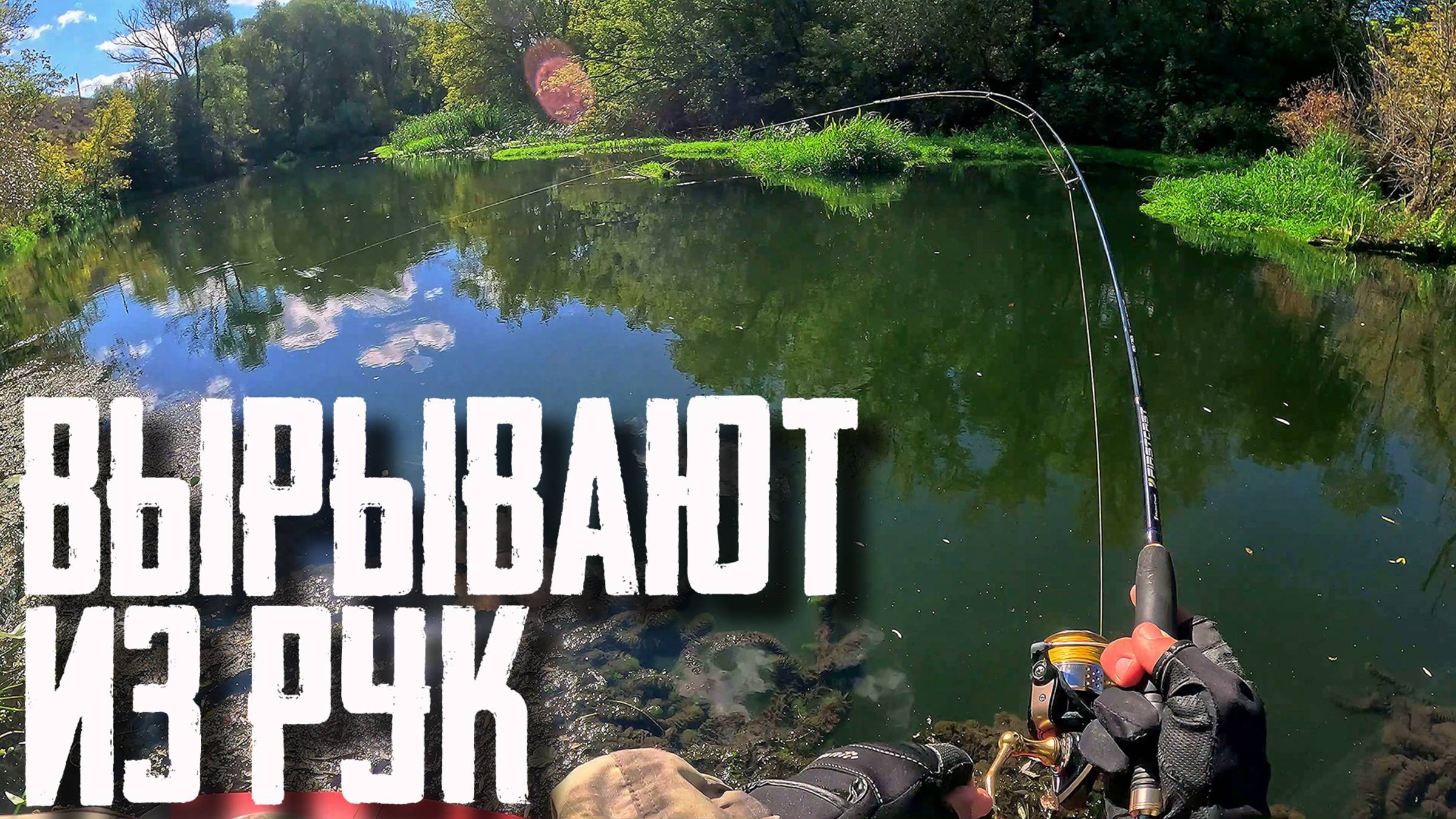 🔴 ОТ ТАКИХ ПОКЛЕВОК РУКИ ТРЯСУТСЯ! Работала только ОНА! 😱💥🔥 смотреть онлайн