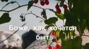 Боже, как хочется жить!..