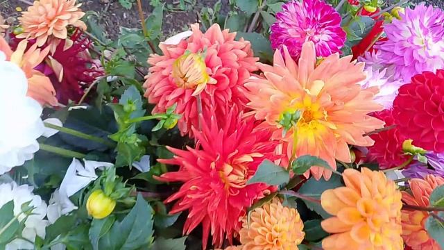 Доброе утро☀ 🌝⏰ смотреть онлайн