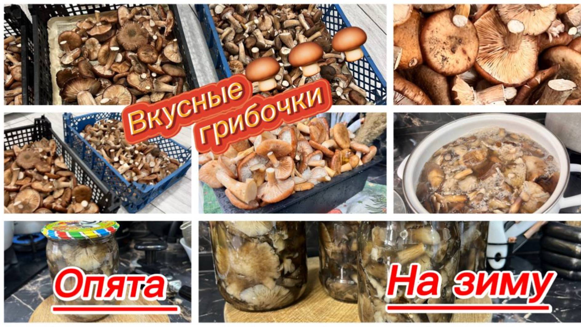 Соленые грибы опята на зиму смотреть онлайн