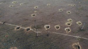 Вот и к нам....