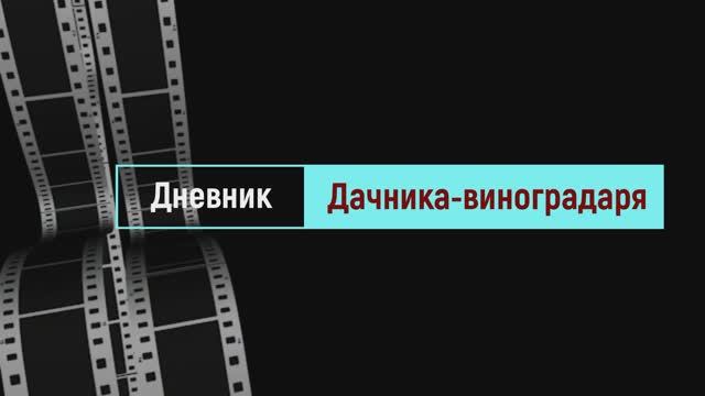 Виноград Петра