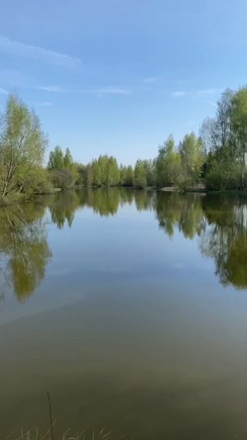 9 смотреть онлайн