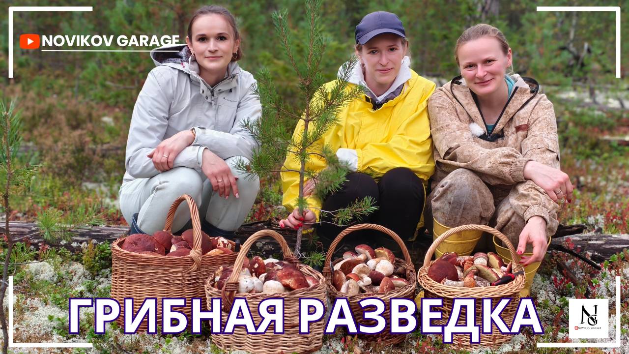 Грибная разведка 21 сентября 2025. Приозерский район.