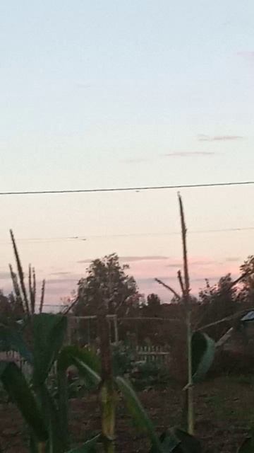 VID_20250909_184335.mp4