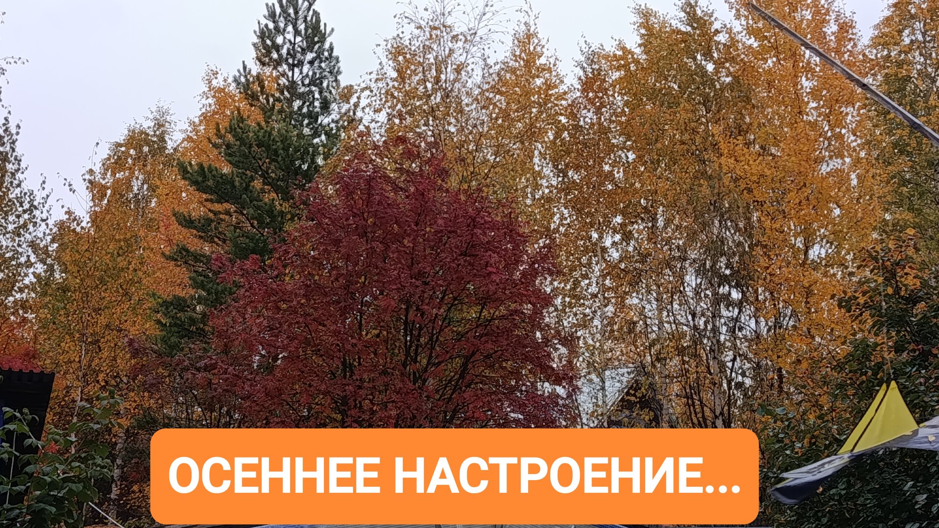 22-09-2025 смотреть онлайн