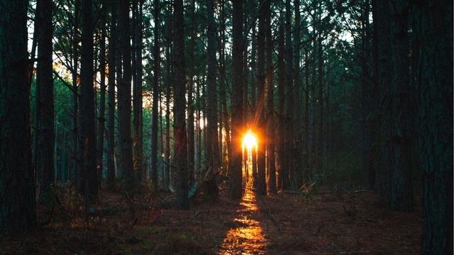 Про жизнь. Любите. смотреть онлайн