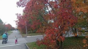 Барнаул /Парк 300 летие Барнаула/